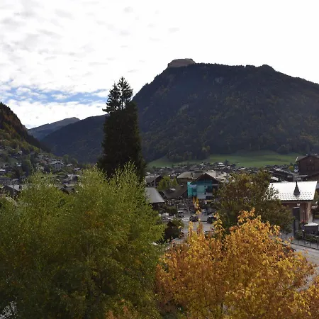 公寓 Confortable Pour 4 Pers. Au Centre De Morzine, Animaux Acceptes - Fr-1-524-54 *