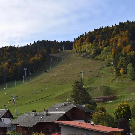 Confortable Pour 4 Pers. Au Centre De Morzine, Animaux Acceptes - Fr-1-524-54 公寓